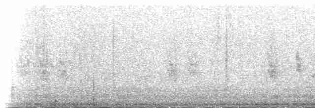 Common Redpoll (rostrata/islandica) - ML235465