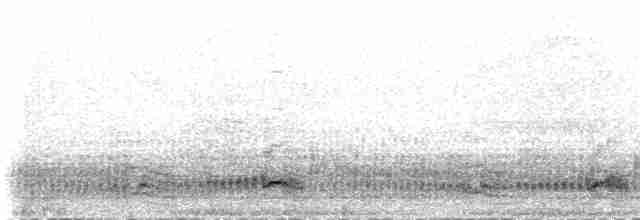 buřňáček malý (ssp. pelagicus) - ML235539