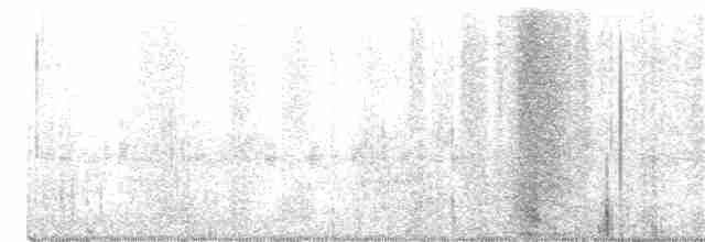Краснохвостый канюк (borealis) - ML235546981