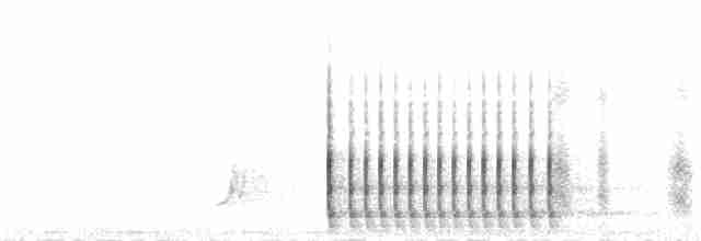 Желудёвый дятел [группа formicivorus] - ML235611551