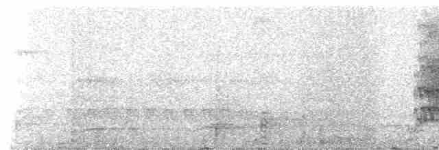 オウム目（インコ科 小さな種） - ML235663
