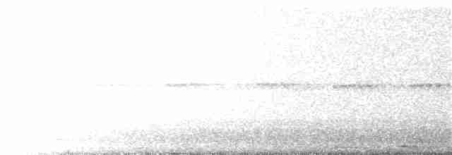 Eurasian Nightjar - ML235669281