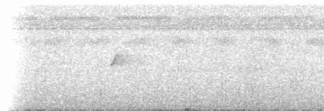 Sulphury Flycatcher - ML235703