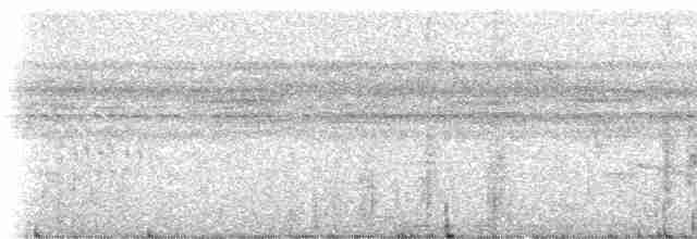 Çizgisiz Yumuşakkuyruk - ML235735