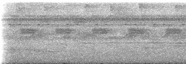 White-throated Tinamou - ML235775