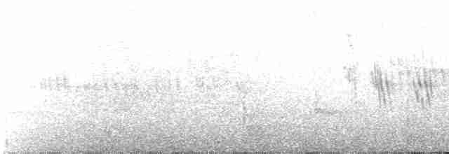 Pic de Magellan - ML235915