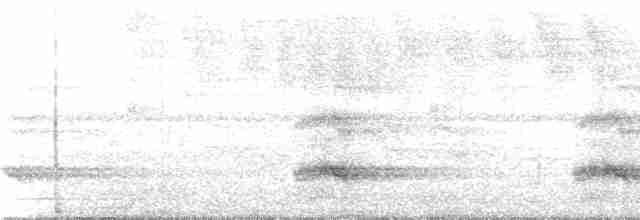 Тукан чорнодзьобий (підвид ariel) - ML236010