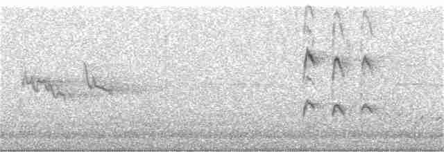 svarthettehonningeter - ML236041121