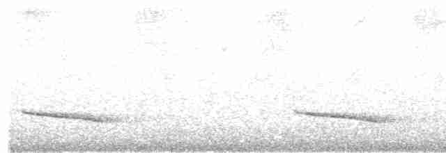 Slaty-capped Shrike-Vireo - ML23611921