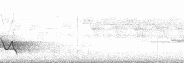 Пестрокрылая кустарница - ML236135291