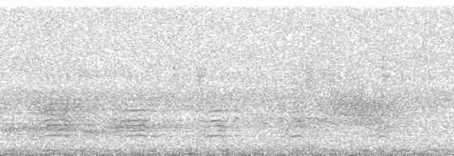 Акалат вохристий - ML23614