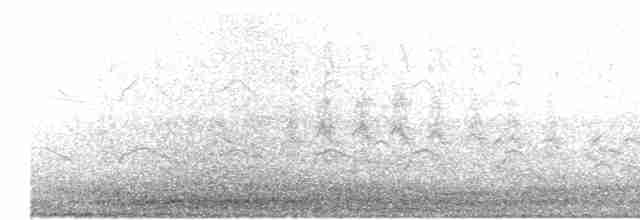 Arctic Tern - ML236146251