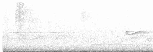 Sarı Karınlı Boreal Sinekkapan - ML236146601