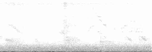 Пестрогорлый соловьиный дрозд - ML236203061