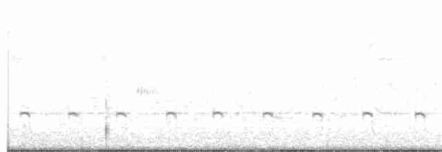 Flötenregenpfeifer - ML236237521