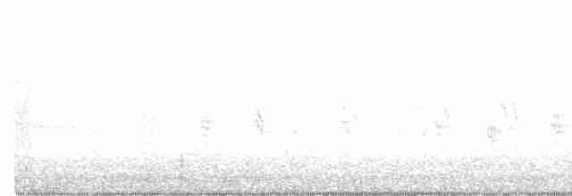 Hooded Warbler - ML236241921