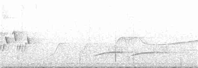 Черногорлая хвойница - ML236242101