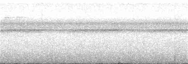 Anthrazitameisenvogel - ML236361521