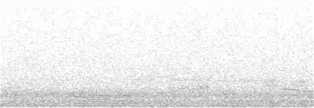 Тасманийский ворон - ML236407561