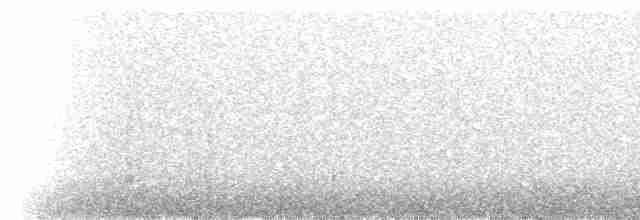 Gray Nightjar - ML236430