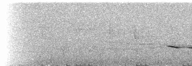 Bouvreuil à tête grise - ML236436