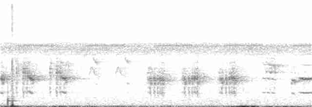 Great Reed Warbler - ML236490321