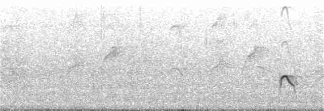 Long-billed Plover - ML236501321