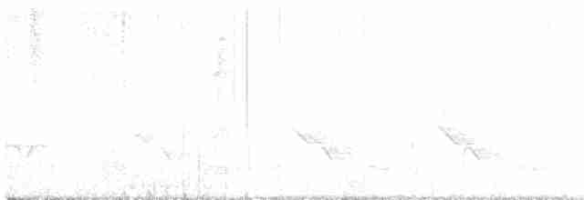 Connecticut Warbler - ML236516601