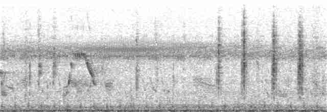 Black-browed Reed Warbler - ML236517981