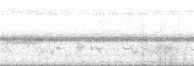 Paradoxornis de Gould - ML236519881