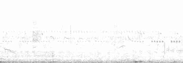 Slender-billed Babbler - ML236523441
