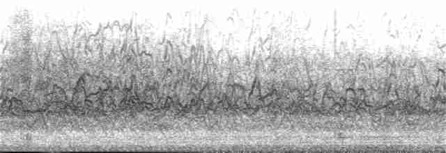 Cava Islıkçı Ördeği - ML236525611