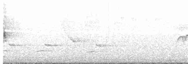 Tennessee Warbler - ML236567201