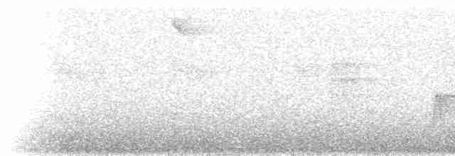 Tarçın Karınlı Kotinga - ML236576
