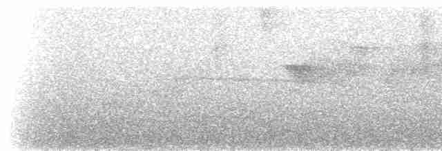 Rufous-tailed Antbird - ML236600
