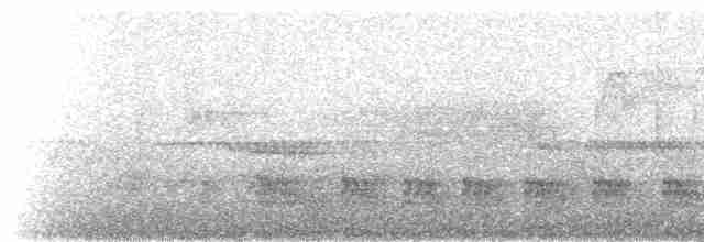 hvitskjeggmaurvarsler - ML236605