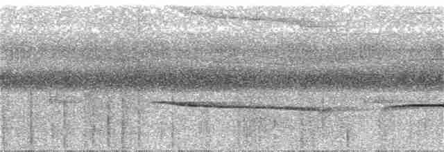 Weißstirn-Ameisenvogel - ML236613741