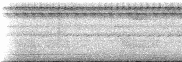 Gray-legged Tinamou - ML236615
