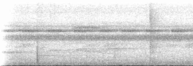Turuncu Taçlı Manakin - ML236619