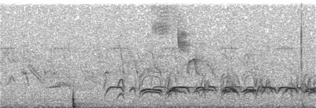 Лінивка-смугохвіст чорнощока - ML236637161