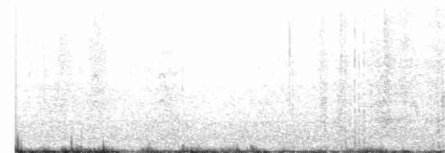 Common Tern - ML236642501