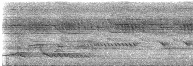 Дрімлюга міомбовий (підвид nigriscapularis) - ML236654