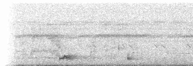 Band-tailed Nighthawk (Band-tailed) - ML236734