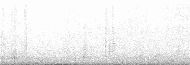 Дрізд-короткодзьоб канадський - ML236754821