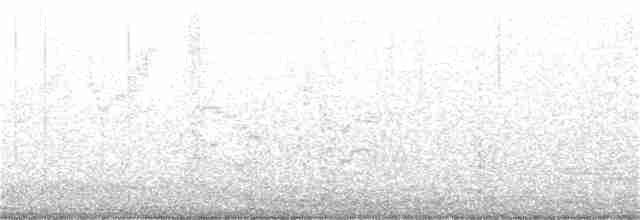 Bicknell Bülbül Ardıcı - ML236754901