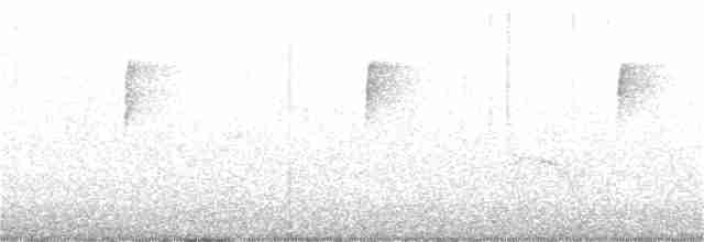Bicknell Bülbül Ardıcı - ML236755001
