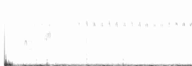 Schlankschnabel-Regenpfeifer - ML236780151