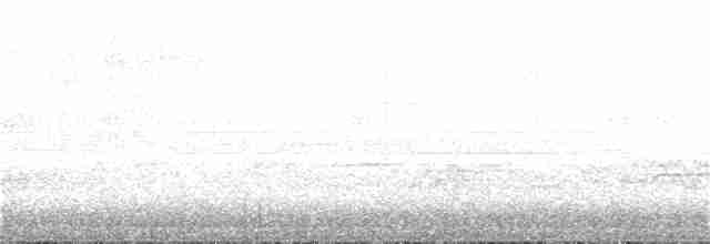 Юнко сірий [група oreganus] - ML236790421
