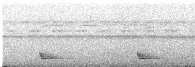 Band-tailed Nighthawk (Band-tailed) - ML236793