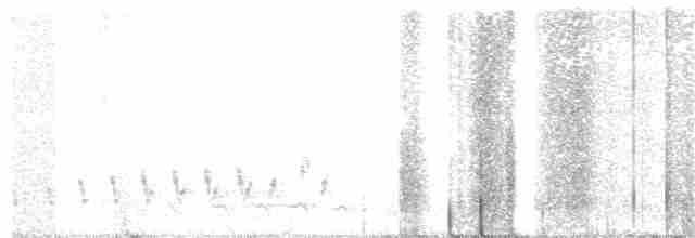 Buff-collared Nightjar - ML236831321